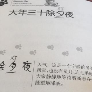 no.14《笑猫日记》大年三十除夕夜