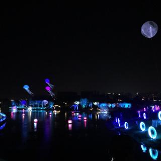 你 却不能原谅你】在线收听_王十六的播播客_