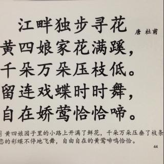 44,江畔独步寻花