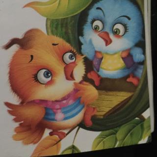 寒号鸟搭窝