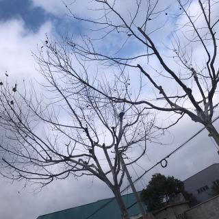 【No 4 林曦许阳 ♀】在线收听_念所不及_荔枝