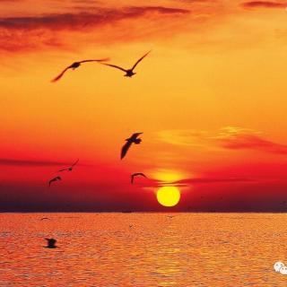 【沉淀老师专集(163)不再迷茫】在线收听_~康