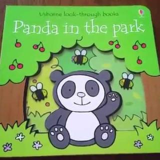 panda in the park