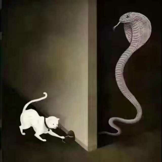 【愿你不争不抢,也有岁月打赏】在线收听_孤独