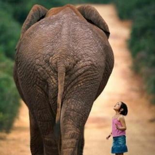 【最渺小的我,有大大的梦。】在线收听_因为你