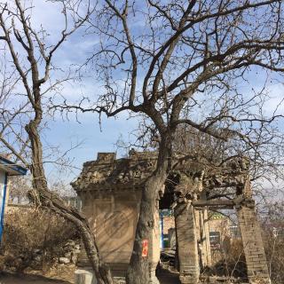 【母亲来信】在线收听_Wxp_荔枝FM