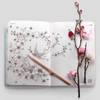 樱花巷的秘密智慧汤和聪明针