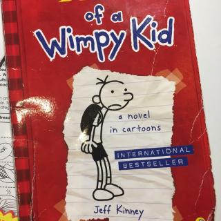 diary of a wimpy kid(christmas)
