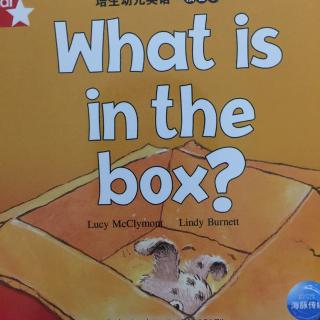 培生:what is in the box