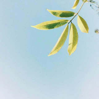 【那些口哨比歌还好听的英文歌 1】在线收听_