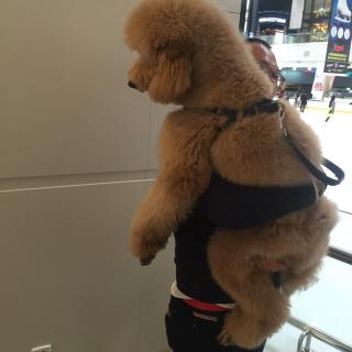 【阿婆的故事2】在线收听_James bong_荔枝