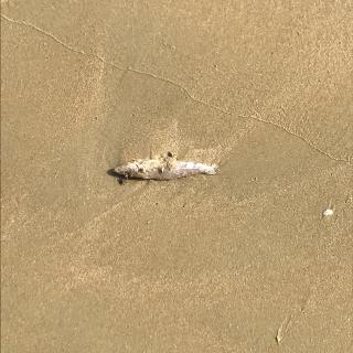 【关于志愿者经验的一篇文章】在线收听_她的