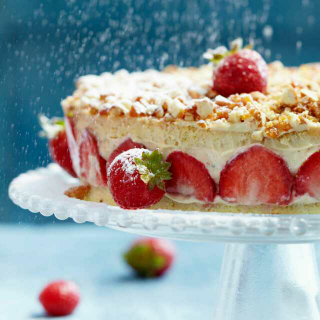 【阳光读书:巨婴国87,爱就是答案。】在线收听