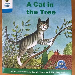 thecatinthetree