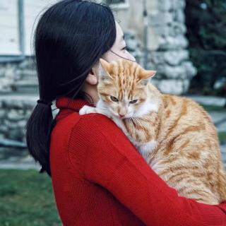 【董小姐你嘴角向下的时侯美吗。】在线收听_