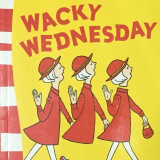 wacky wednesday 20170213