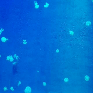 【我要是个姑娘我就嫁给你】在线收听_尘埃_