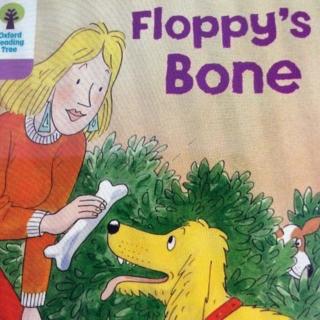 floppy"s bone