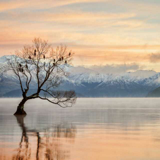 【《我和这个世界不熟》北岛】在线收听_为你