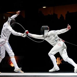 the history of fencing