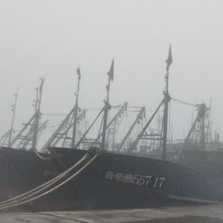 【第四期 太平洋大逃杀(上)】在线收听_半盒南