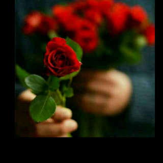 【宝宝队,毛概课第一次新闻播报】在线收听_君