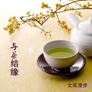 与茶结缘
