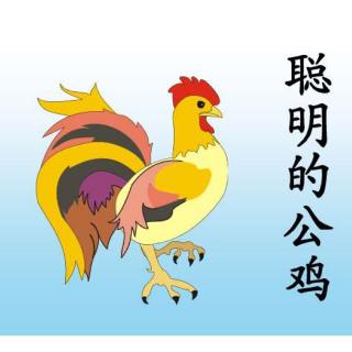 聪明的大公鸡