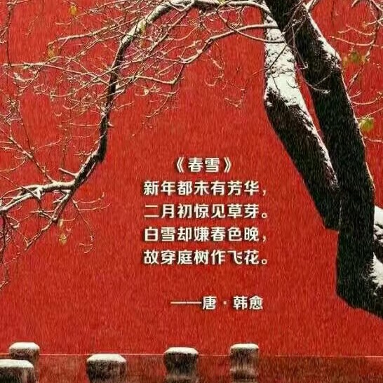 《春雪》唐 韩愈