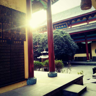 【生命,是一本经典的书】在线收听_叶子木木_