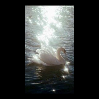 【牧羊少年奇幻之旅10】在线收听_荣九九拯救