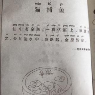 【《小学生小古文100课》-猫捕鱼】在线收听湖州私立小学 【《小学生小古文100课》-猫捕鱼】在线收听湖州私立小学