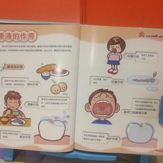 【牙齿大研究(牙齿和唾液的作用)】在线收听_