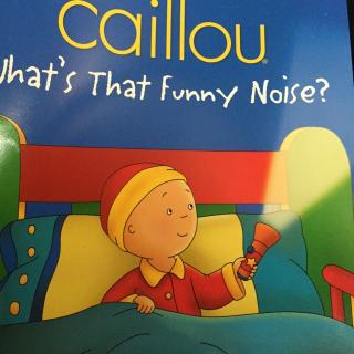 what"s that funny noise?