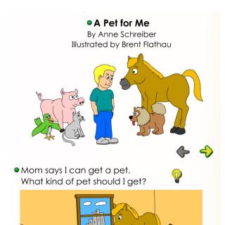 a pet for me/20170228