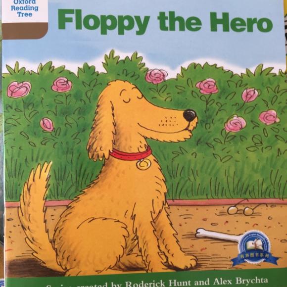 floppy the hero