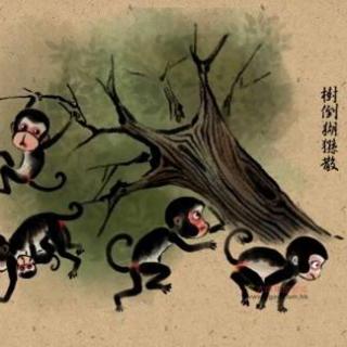 【【170301体坛先锋上】树倒猢狲散,乐视怎渡辊图纸刀刀架图片