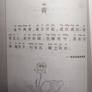 小古文 荷