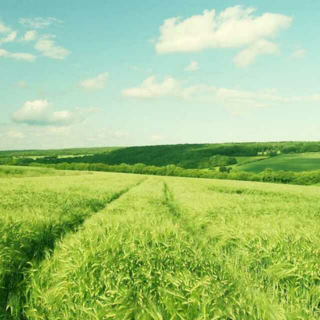 【春之怀古 张晓风;春之风 熊木杏里】在线收听