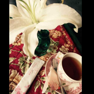 【七里香 席慕容】在线收听_彩虹姑姑_荔枝FM