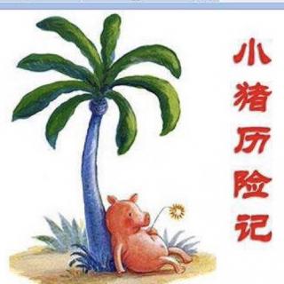 小猪历险记