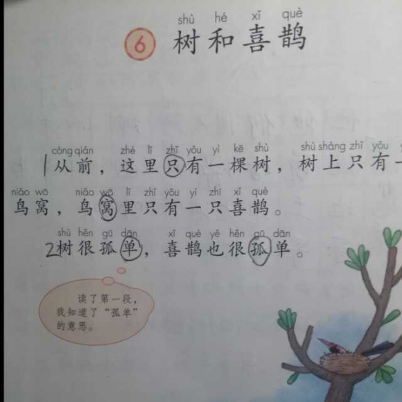 一年级语文下册 树和喜鹊