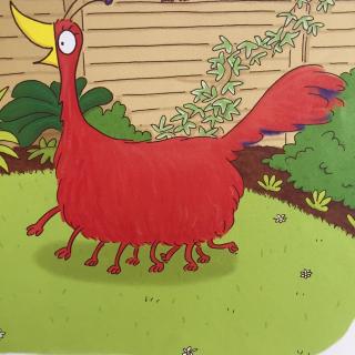 the odd pet