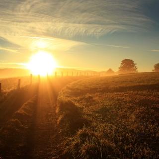 【念英文让你放松】在线收听_CliffActually_荔