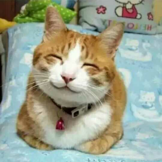 你笑起来真好看