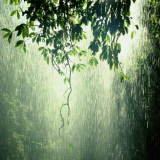 雨滴在铁片上的声音 助眠