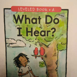 【Raz a 170319 what do i hear】在线收听_抖抖