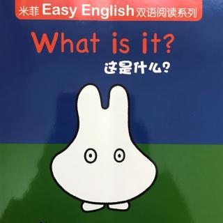 20161231 wins英文绘本共读《米菲easy english双语阅读系列—what is