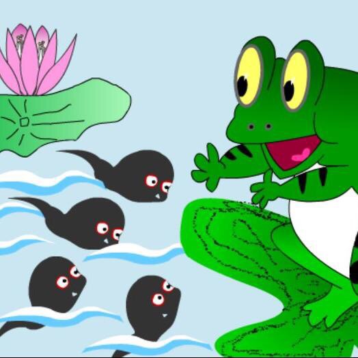 小蝌蚪找妈妈课堂实录图片