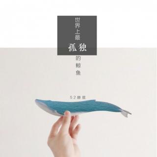 alice鲸鱼评价图片